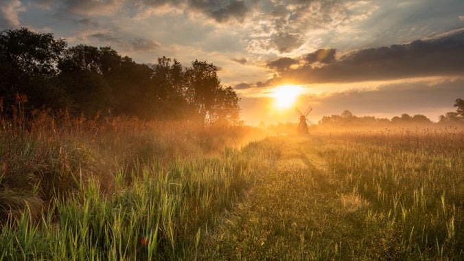 The sun rising behind a windmill stood in a green meadow